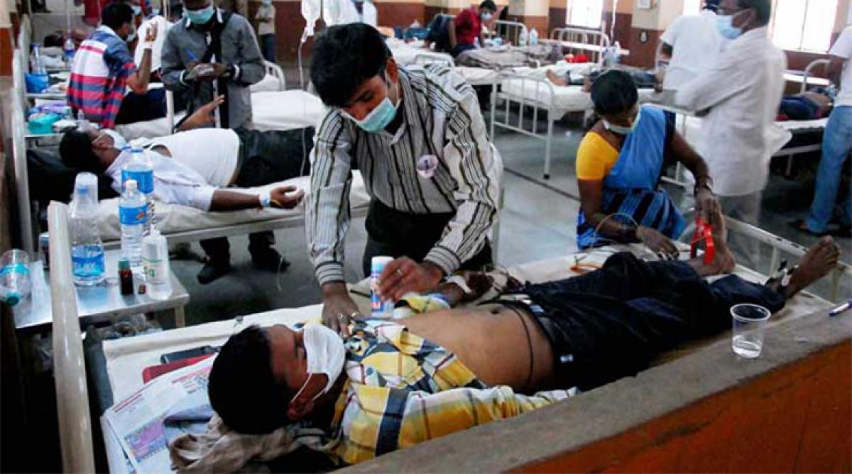 Dengue on the rise in State